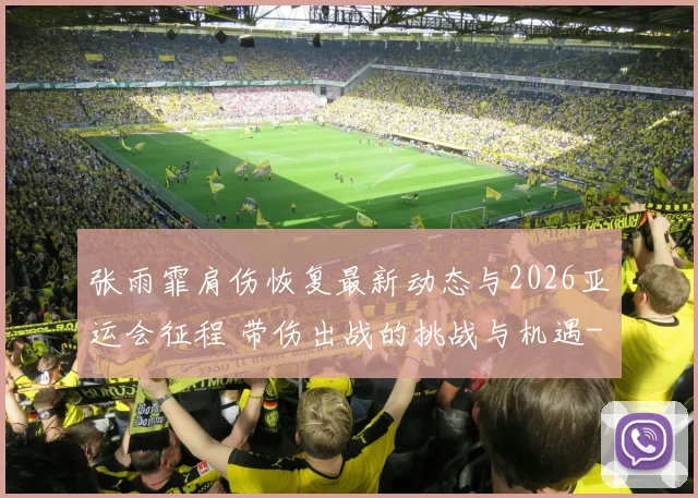 张雨霏肩伤恢复最新动态与2026亚运会征程 带伤出战的挑战与机遇