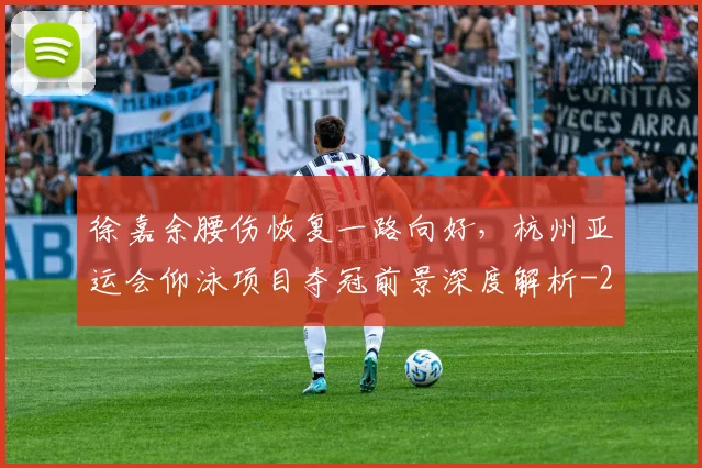 徐嘉余腰伤恢复一路向好,杭州亚运会仰泳项目夺冠前景深度解析