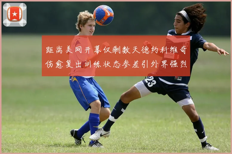 距离美网开幕仅剩数天德约科维奇伤愈复出训练状态参差引外界强烈好奇