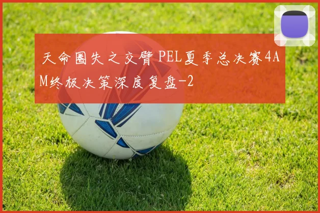 天命圈失之交臂 PEL夏季总决赛4AM终极决策深度复盘
