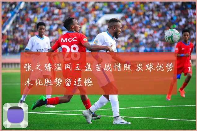 张之臻温网五盘苦战惜败 发球优势未化胜势留遗憾